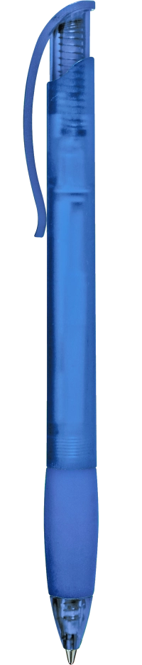 0-0013 TF – SUNNY frozen